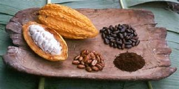 فروش پودر کاکائو اسپانیایی